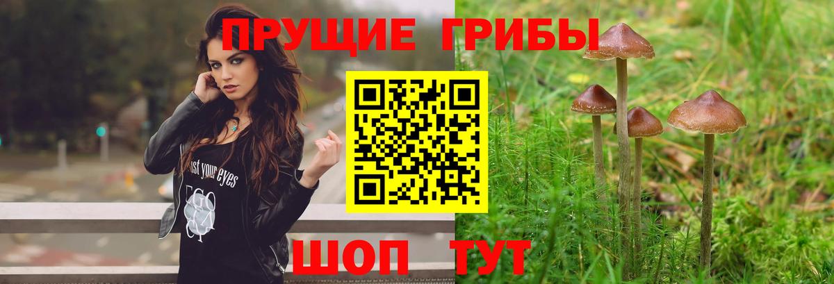 Псилоцибиновые грибы прущие грибы  Вход с VPN  Фрязино 